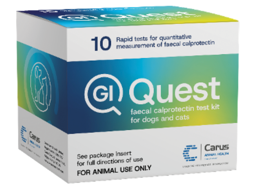 A white box with blue and green text

AI-generated content may be incorrect.