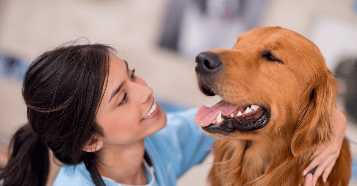 Comprehensive Anaesthesia for Veterinary Nurses