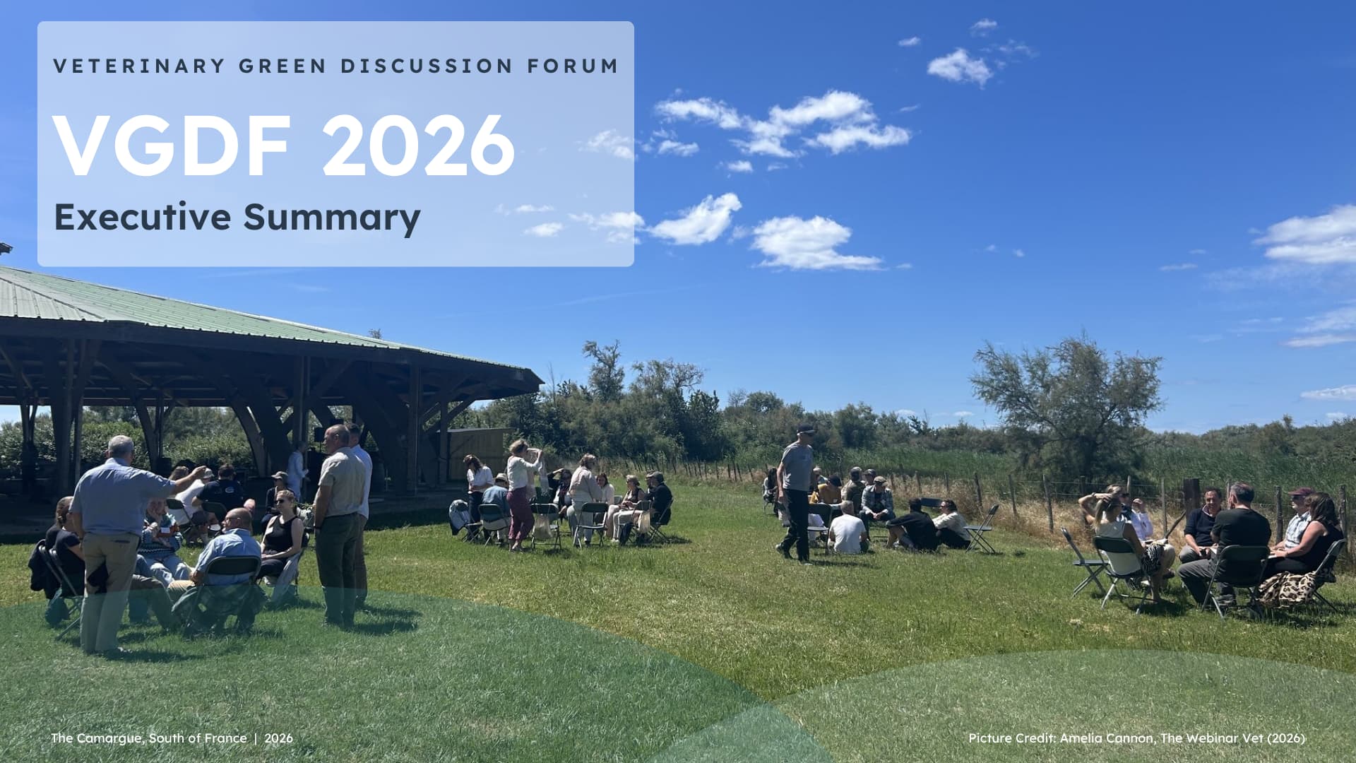 The Veterinary Green Discussion Forum 2026 Exec Summary