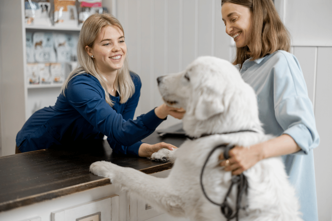 veterinary professional