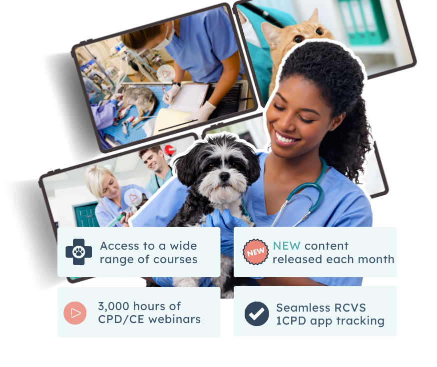 CPD Made for Busy Vets