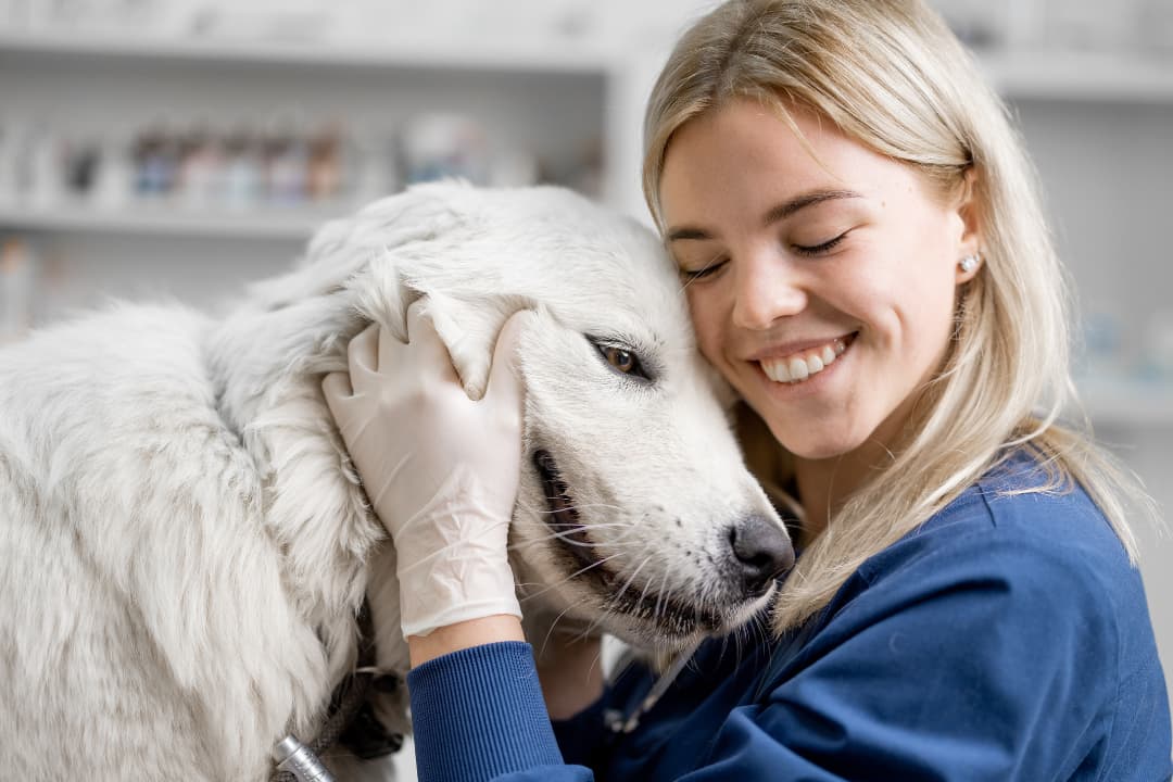 veterinary professional