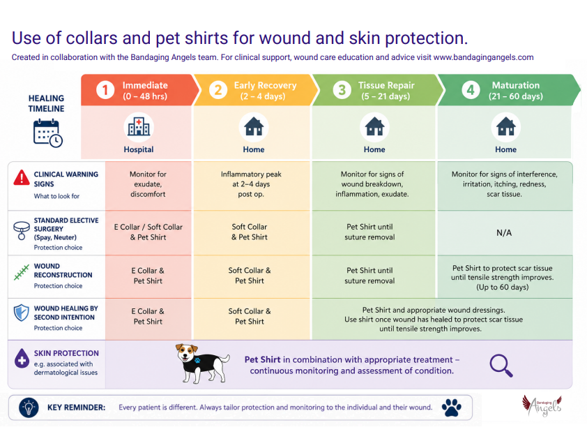Cutaneous round cell tumours in dogs: Differentials and diagnostic dilemmas