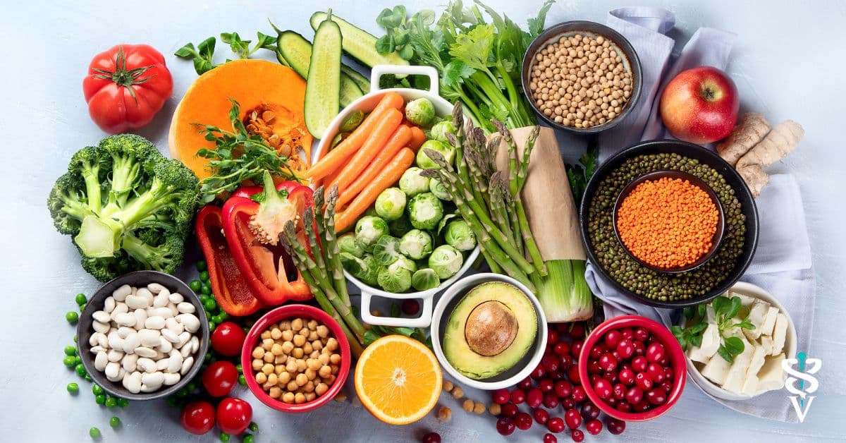 The Vegan Diet Debate Insights for Vets on Feeding Dogs and Cats The inar Vet