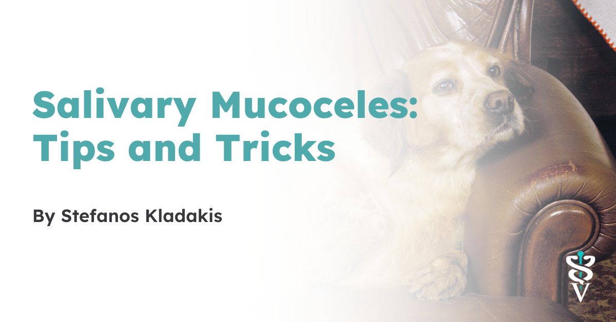 Salivary Mucoceles Tips and Tricks for Effective Management The