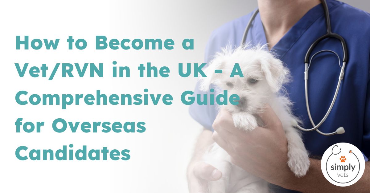 Guide to a Vet/RVN in the UK A Comprehensive Resource The