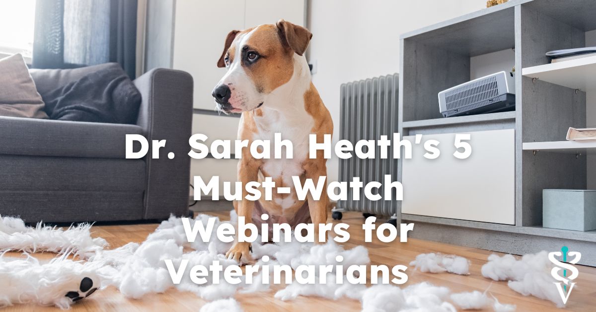 Dr. Sarah Heath's 5 MustWatch inars for Veterinarians The inar Vet