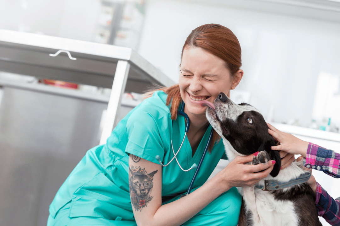 veterinary professional