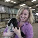 Img of Cathy Dwyer