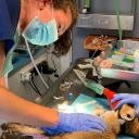 Img of Gemma Crowley