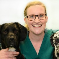Img of Lisa Telford