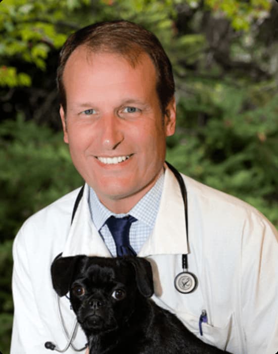 Img of Dan Markwalder