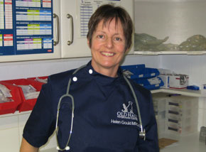 Img of Helen Gould