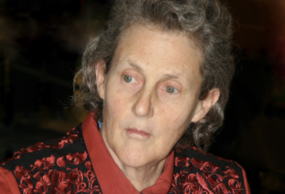 Img of Temple Grandin