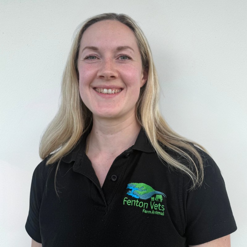 Img of Katie Harrower