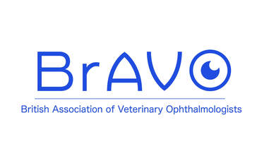 Logo for BrAVO