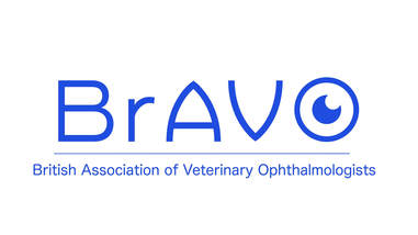 Img of BrAVO