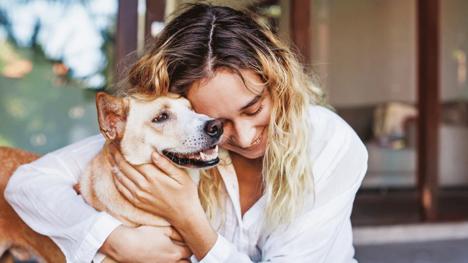 Finding Balance: Managing Work-Life Harmony for Veterinary Professionals