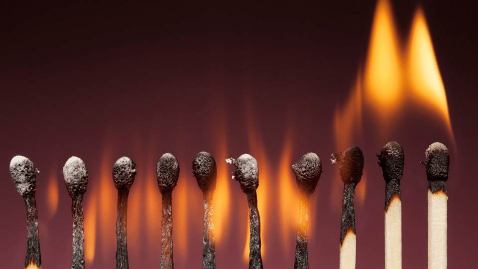 Are You Burnt Out And Overworked? These Tips Will Help You Thrive in Veterinary Practice