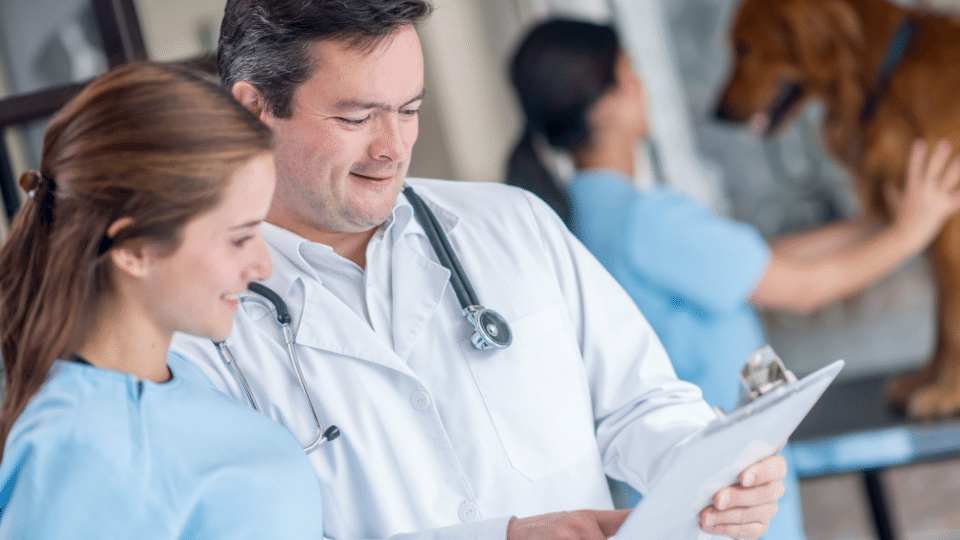 Veterinary Resilience: More Good Days Than Bad