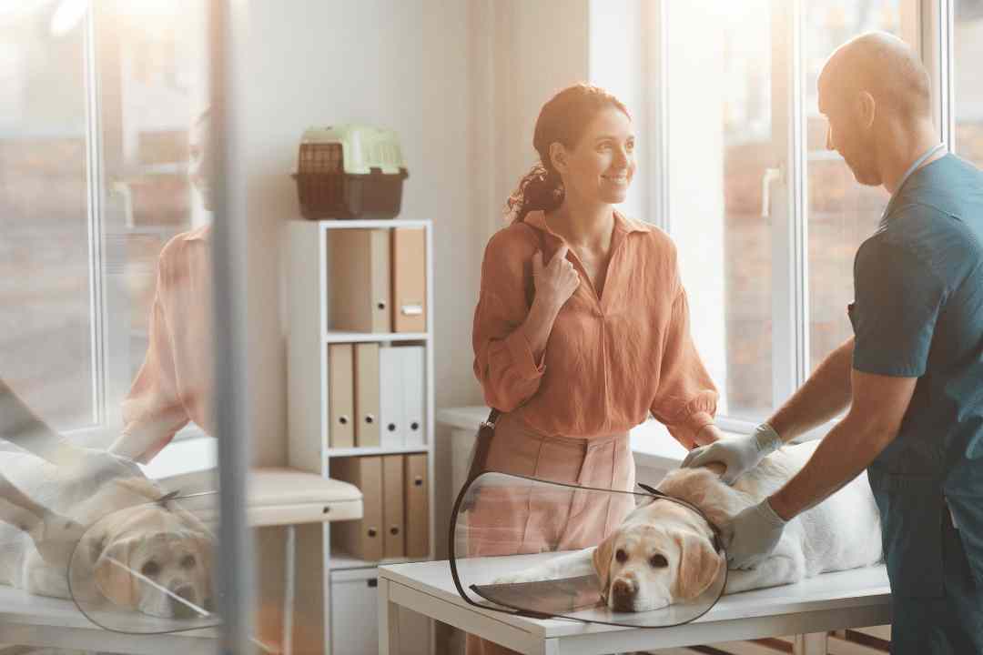 Are New Pet Owners Struggling To Finance Pet Health Care?